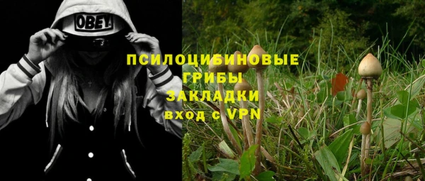 таблы Ладушкин