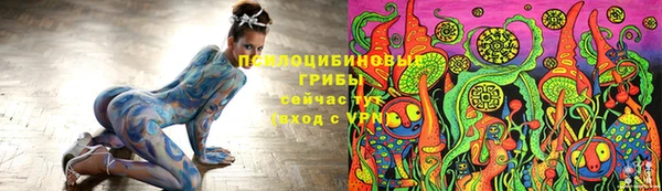 МДМА Лабытнанги